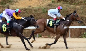 đua ngựa HitClub
